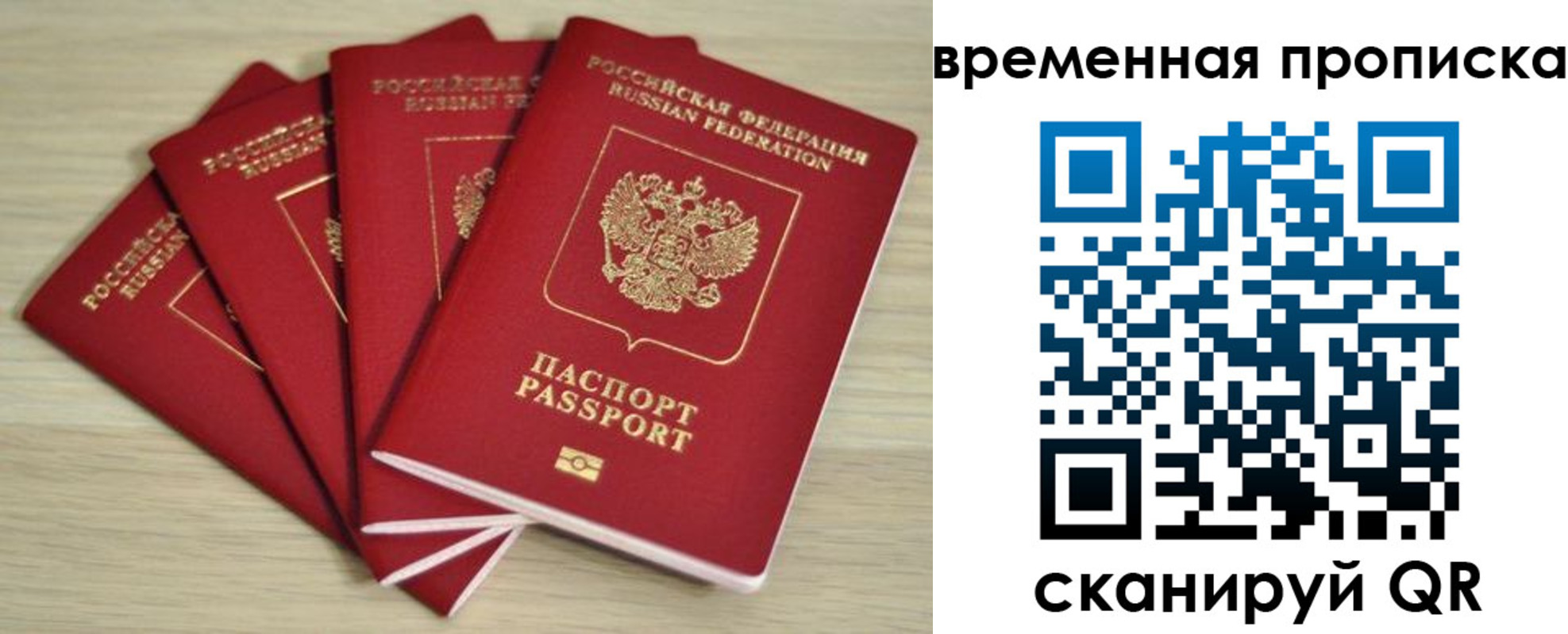 прописка для школы в Александровске-Сахалинском